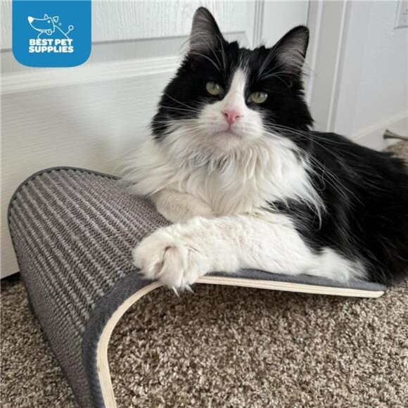 Best Pet Supplies Catify Sloped Sisal Cat Scratchers for Indoor Cats - Picture 6 of 14